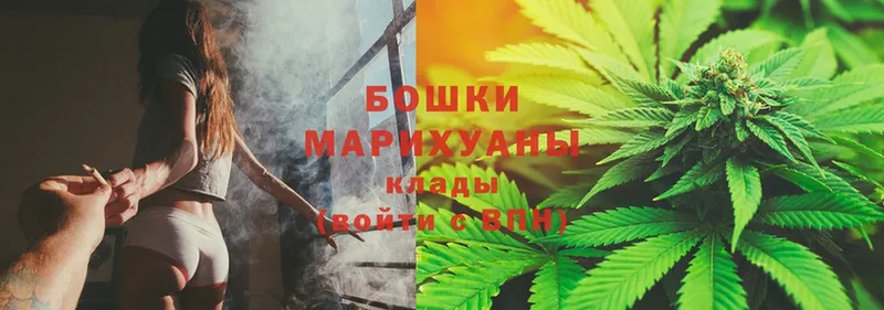 продажа наркотиков  площадка формула  Марихуана White Widow  Истра 